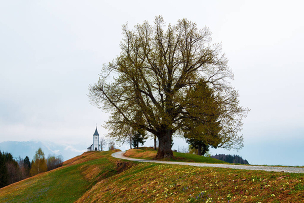 A dombtetőn a csodálatos templom Szent Primus és Szent Felician gyönyörű kilátással a tájra, Jamnik falu, Kranj falu, Triglav Nemzeti Park Szlovéniában - Fotó, kép