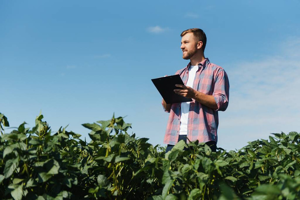 Young handsome agriculture engineer on soybean field with tablet in hands in early summer - Foto, Imagen