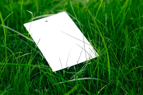 Top view with white cardboard blank tag mock-up of lawn green grass with tag for logo - Fotoğraf, Görsel