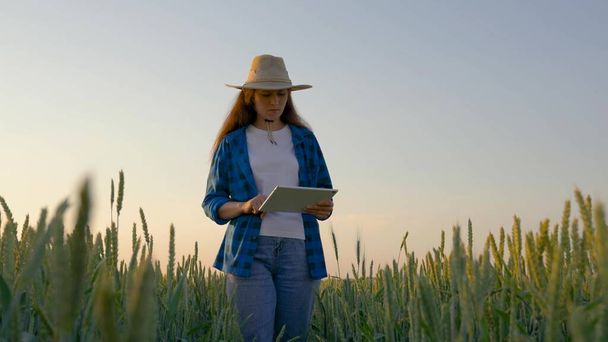 Farmer woman with digital tablet studying wheat harvest in field. Businesswoman analyzing the grain harvest. Agricultural business. Farmer woman works with computer tablet in wheat field. - Фото, зображення