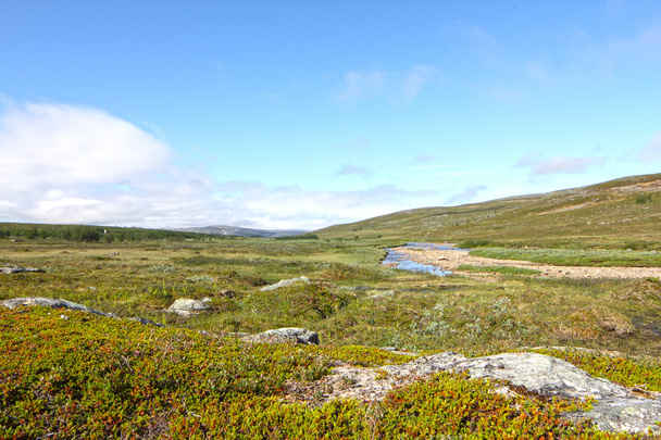 Tundra Landscape - Foto, Imagen
