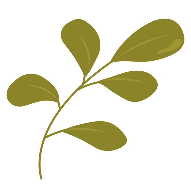 Ilustração vetorial simples de ramos verdes. Doctail em um estilo plano em um fundo branco. Ramo desenhado à mão bonito. Arte botânica de estilo infantil - Vetor, Imagem
