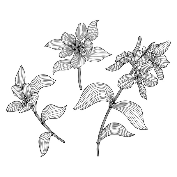 Blätter und Blüten isoliert auf weiß. Handgezeichnete Vektorillustration. Abstrakte Zusammenhänge - Vektor, Bild