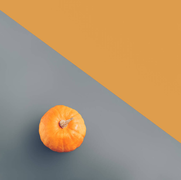 Minimal autumn and Halloween visual concept with fresh pumpkin on grey and orange background. Creative food, celebration and craft idea, aesthetic geometric composition. - Photo, Image