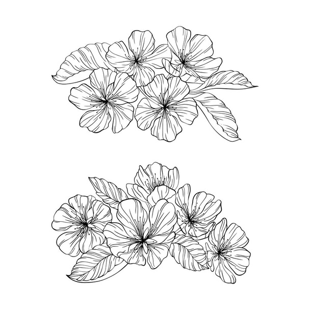 Flores de pêra e folhas isoladas em branco. Ilustração vetorial de linha desenhada à mão. Eps 10 - Vetor, Imagem
