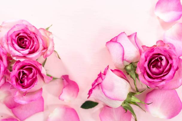 Flat lay. Pink roses and rose petals on a pink background. - Фото, изображение