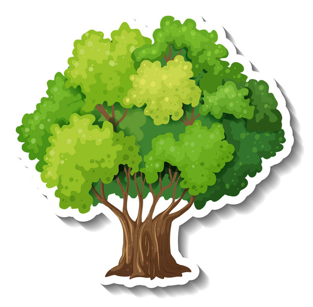 Дерево з зеленим листям наклейка на білому тлі ілюстрація
 - Вектор, зображення