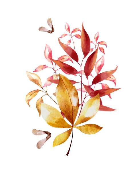 Handmade watercolor illustration of an autumn bouquet, made in warm colors. You can use it for your own design. - Фото, зображення