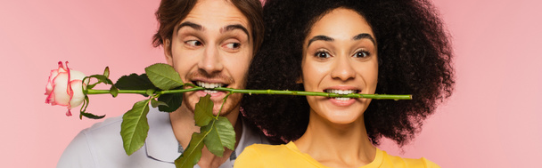 陽気な異人種間のカップルはピンクやバナーに孤立した歯で立ち上がり - 写真・画像
