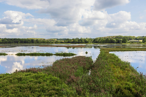 Widok na jezioro w rezerwacie Het Vinne w miejscowości Zoutleeuw - Zdjęcie, obraz