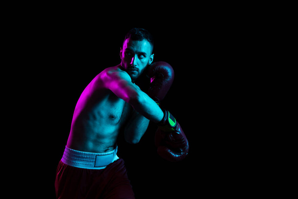 One professional male boxer training isolated over black backgrund in neon light. Knocking out the opponent - Φωτογραφία, εικόνα