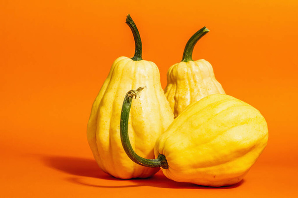 Ripe yellow pumpkins isolated on bright orange background. Whole squash, traditional festive decorative element for Halloween or Thanksgiving - Foto, Imagem