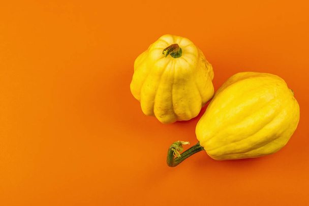 Zralé žluté dýně izolované na jasně oranžovém pozadí. Celá squash, tradiční slavnostní dekorativní prvek na Halloween nebo Díkůvzdání - Fotografie, Obrázek