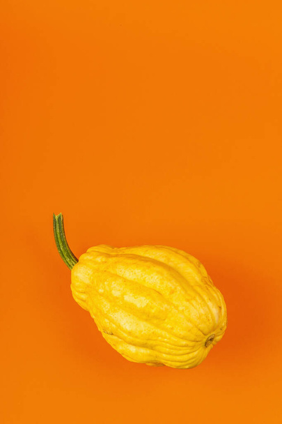 Reifer gelber Kürbis isoliert auf leuchtend orangefarbenem Hintergrund. Ganzer Kürbis, traditionelles festliches Dekorationselement für Halloween oder Thanksgiving - Foto, Bild