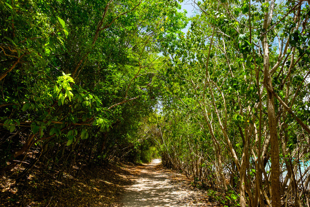 Leinster Bay Trail - Photo, image