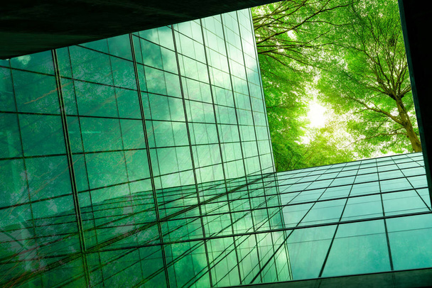 Umweltfreundliches Bauen in der modernen Stadt. Grüne Zweige mit Blättern und nachhaltiges Glasgebäude zur Reduzierung von Wärme und Kohlendioxid. Bürogebäude mit grüner Umgebung. Grünes Konzept. - Foto, Bild