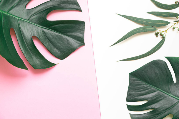 Top view tropical leaves on vibrant background. Summer flat lay composition. - Photo, Image
