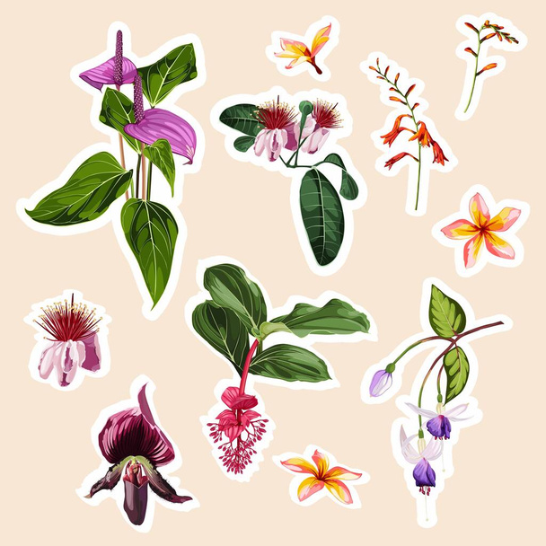 Set von tropischen Orchideen, Medinilla, Plumeria exotischen Blumen Elemente. Set mit Aufklebern, Pins, Patches und handschriftlichen Notizen. - Vektor, Bild