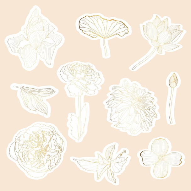 Set of cute hand drawn stickers plants, flowers, branches. Elegant vintage elements. - Vettoriali, immagini