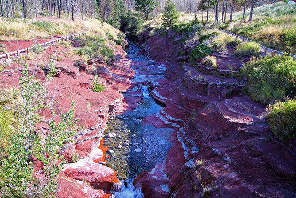Каньйон Червоної Скелі в Ватертон Лейкс національному парку від мосту через річку в Монтані. - Фото, зображення