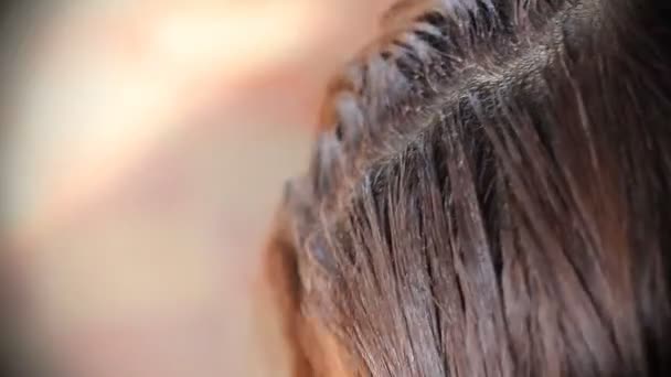 Застосування кольору волосся пензлем
 - Кадри, відео