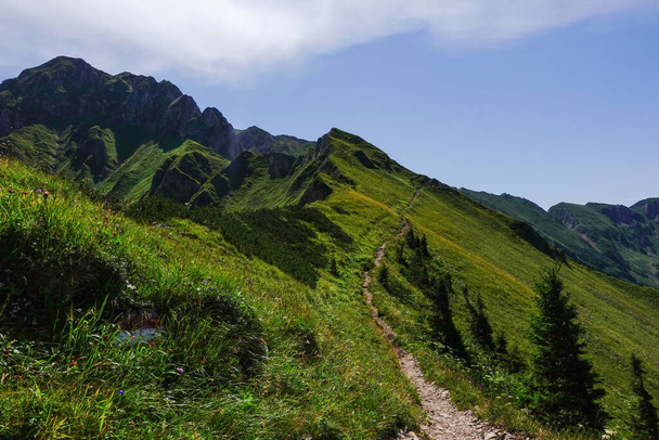 długa mała ścieżka turystyczna nad wspaniałą zieloną górą w Austrii na wakacjach - Zdjęcie, obraz