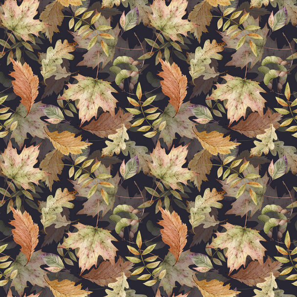 seamless pattern with design of leaves of forest plants, hand painted watercolo - Foto, Bild