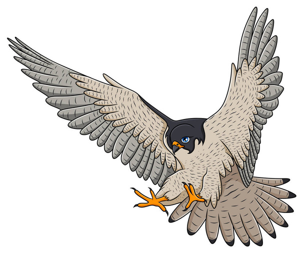 Falcon uçan çizgi film vektör çizimi - Vektör, Görsel