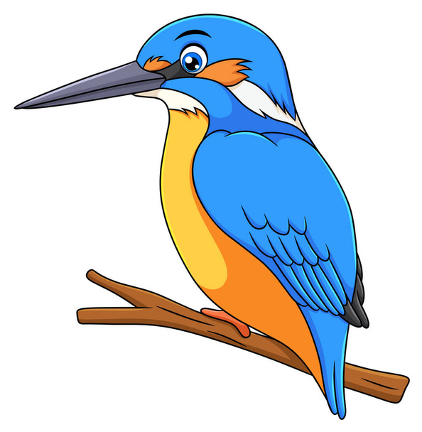 Cute Kingfisher bird cartoon vector illustration - Wektor, obraz