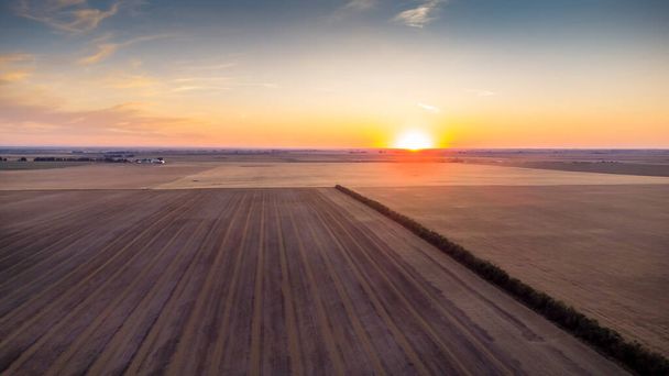 Luchtfoto van de Canadese prairies tijdens de oogst in Rockyview County Alberta. - Foto, afbeelding