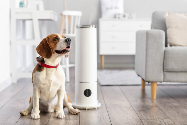 Cute dog in room with modern humidifier - Fotó, kép