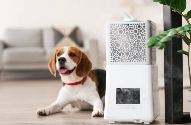 Cute dog in room with modern humidifier - Foto, Imagem