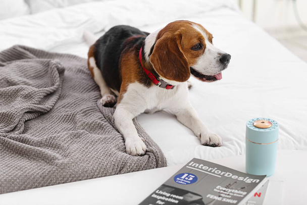 Leuke hond in slaapkamer met moderne luchtbevochtiger - Foto, afbeelding