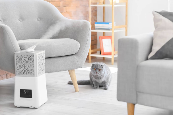 Cute cat in room with modern humidifier - Fotoğraf, Görsel