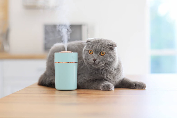 Roztomilá kočka na pokoji s moderním zvlhčovačem - Fotografie, Obrázek