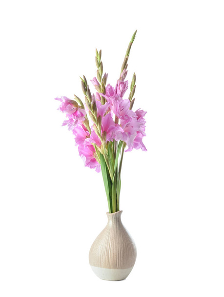 Vase with beautiful gladiolus flowers on white background - Photo, Image