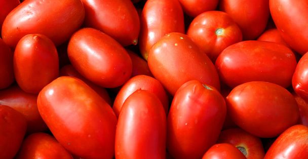 Roma tomate ou Roma é um tomate de ameixa popularmente usado tanto para enlatamento e produção de pasta de tomate por causa de sua natureza esbelta e firme. Comumente encontrado em supermercados em alguns países tomates Roma - Foto, Imagem
