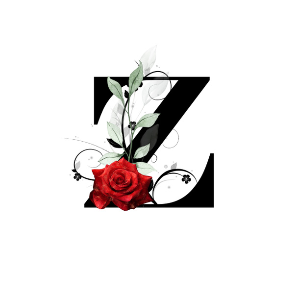 monogram kwiatowy, litera Z - ozdobiony czerwoną różą i liśćmi akwareli - Zdjęcie, obraz