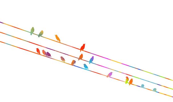 Multicolored Birds on wires. Vector illustration - Vector, Image