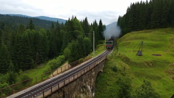 Eski dizel tren demiryolu şeridi boyunca ilerliyor. Güzel orman manzaralı dağlar. - Video, Çekim