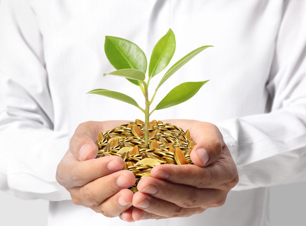 Investing to green business  - Photo, Image