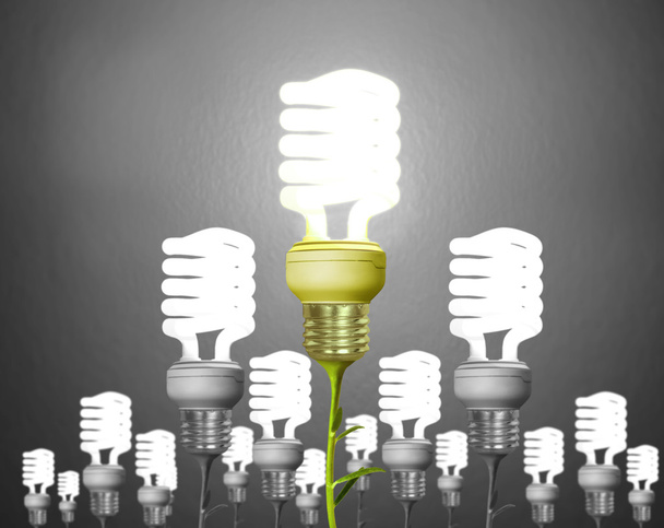 Energiesparlampen  - Foto, Bild