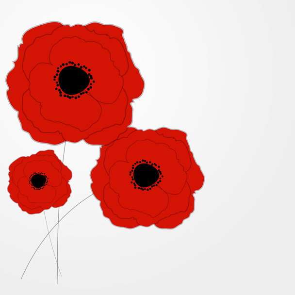Red Poppies Flower Background Vector Illustration - Vector, Image