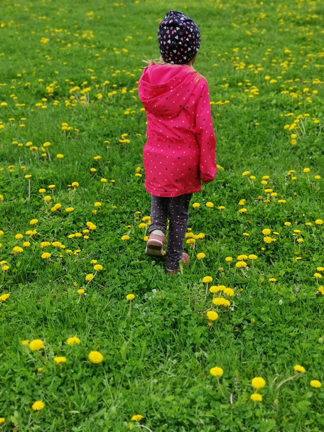 A rear view of a girl in pink clothes walking on grasses with yellow flowers - Foto, imagen