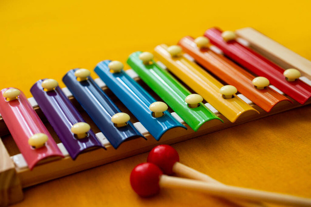 A closeup shot of a wooden musical instrument for kids - 写真・画像