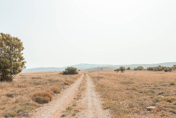 A country road through an empty steppe at dawn - Fotó, kép