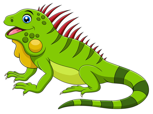 Lindo vector de dibujos animados Iguana ilustración - Vector, Imagen