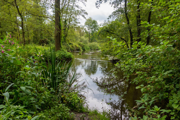 El río de flujo rápido llamado "el Swalm" cerca del pueblo de Swalmen en la provincia de Limburgo, Países Bajos - Foto, Imagen