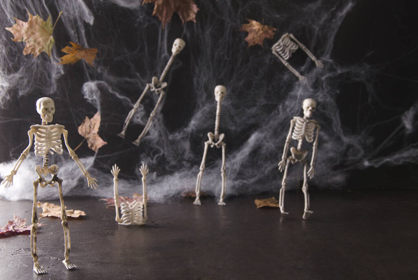 Sfondo Halloween. Scheletri decorativi su fondo nero con ragnatele e foglie secche, messa a fuoco selettiva, basso profilo - Foto, immagini