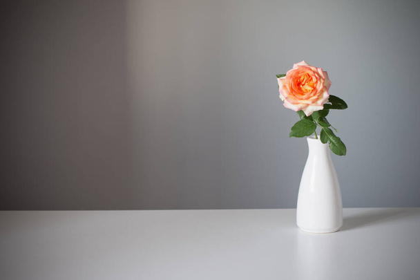 orange rose in white vase on gray background - Foto, immagini